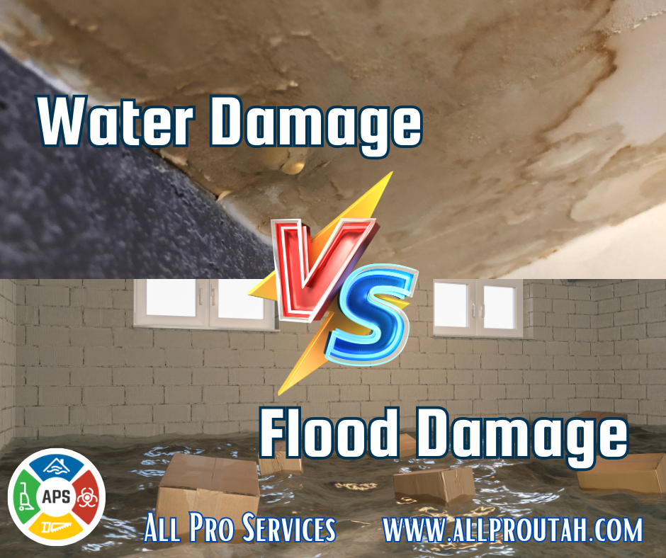 Flood Damage vs Water Damage in Salt Lake City: What Property Owners Need to Know